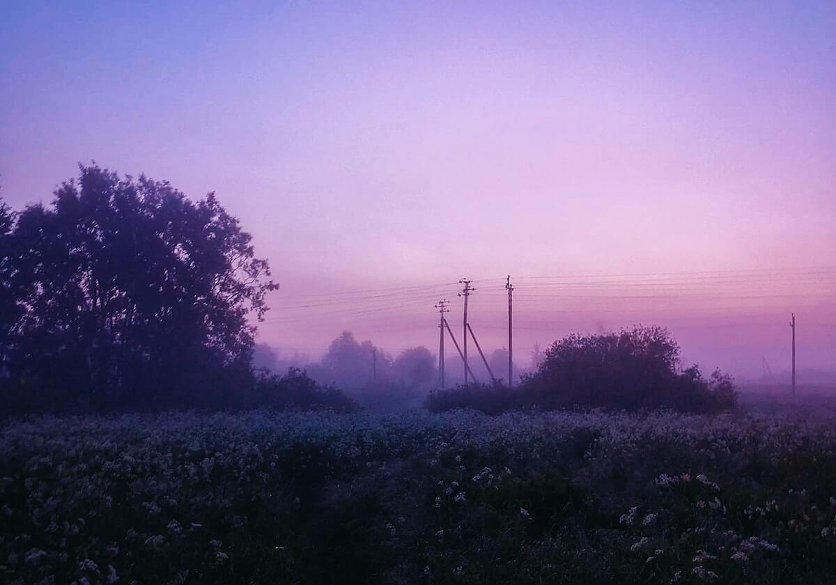 九游娱乐-大黄：我觉得你们对369太苛刻了，他没有那种进攻性了被红米教坏了